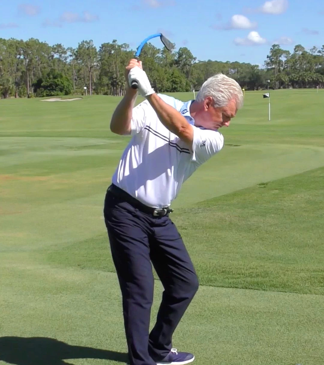 lag-shot-ultimate-swing-set-7-eisen-driver-wedge-putter image 8